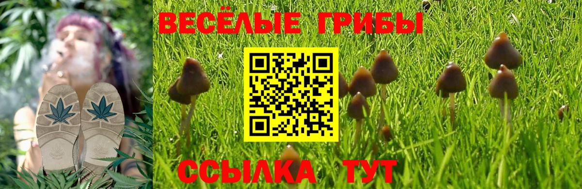 Псилоцибиновые грибы мицелий  Галлюциногенные грибы мицелий  Вход с VPN  Кропоткин 