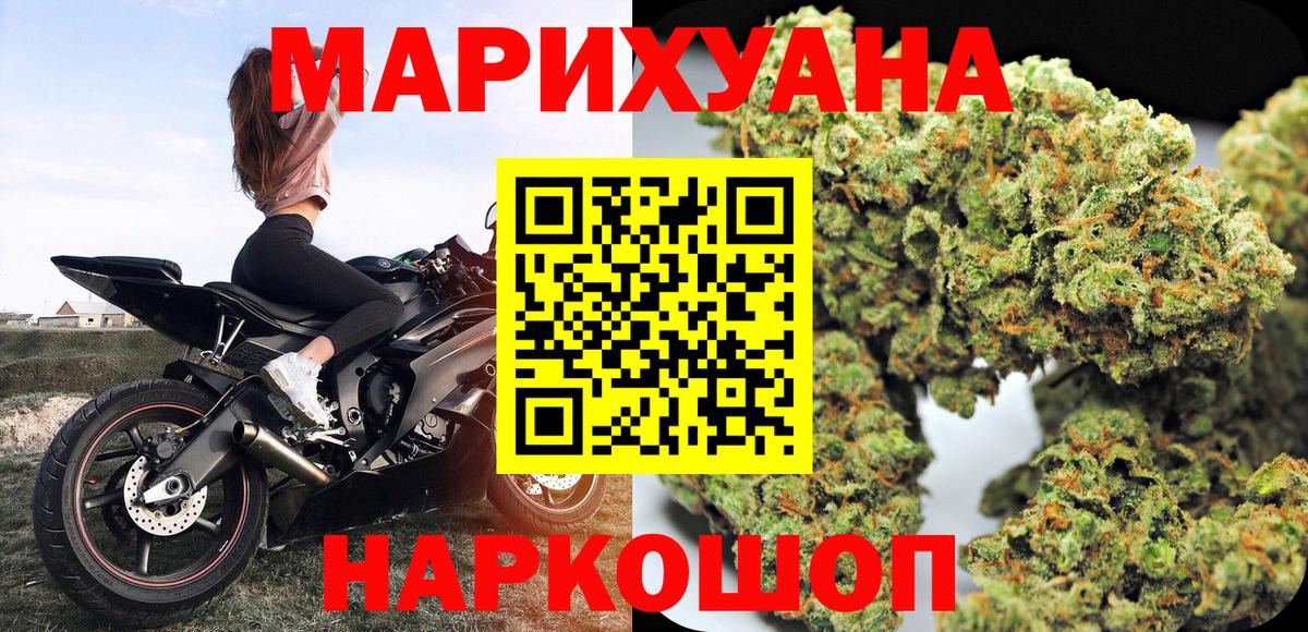 Бошки Шишки планчик Кропоткин